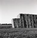 Hay Bales