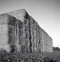 Hay Bales